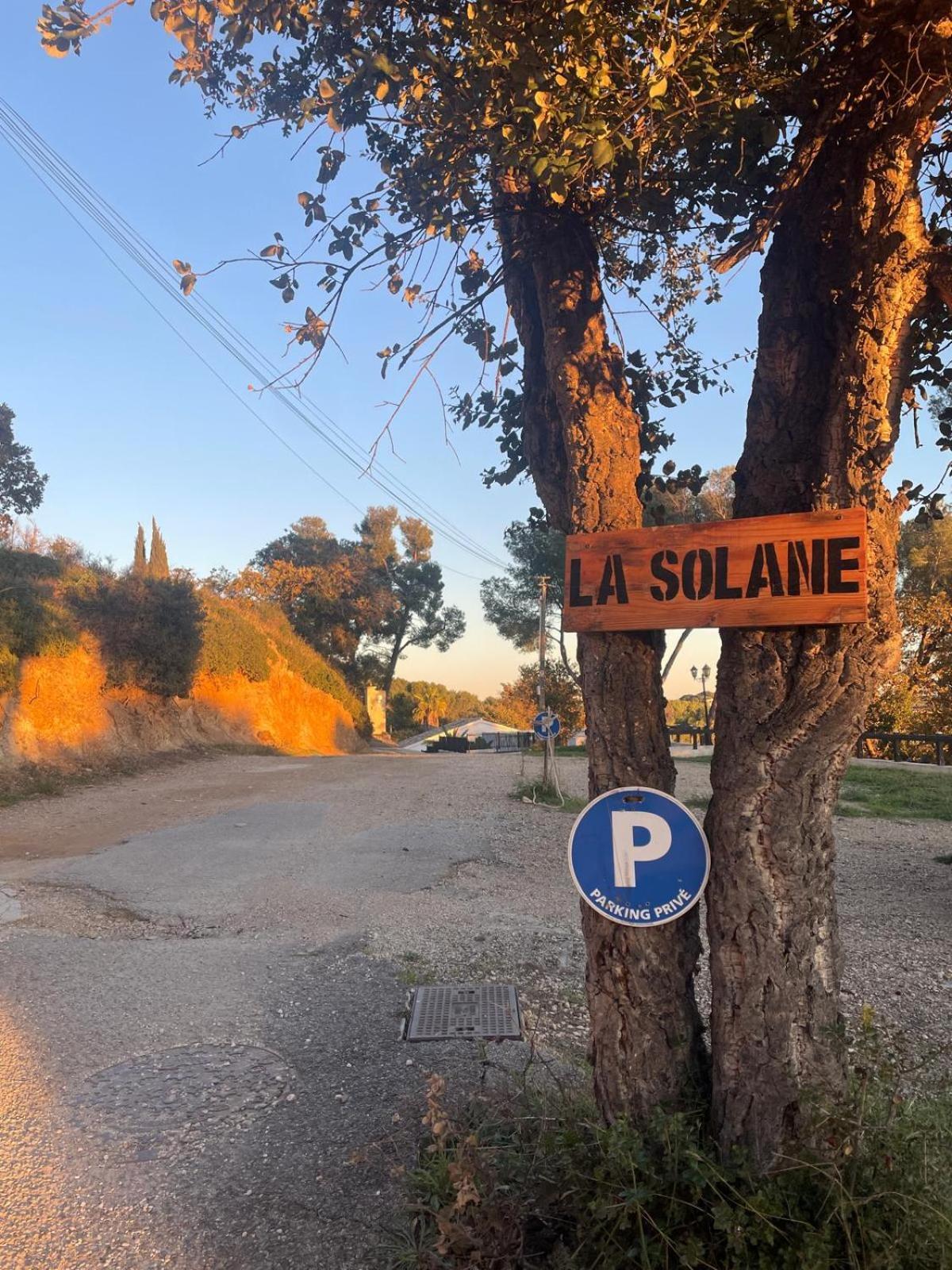 La Solane - Grande Maison Sous Les Pins Сис-Фур-Ле-Пляж Экстерьер фото
